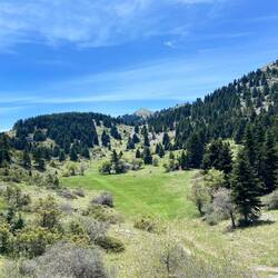 Im Hintergrund seht ihr den höchsten Punkt der Wanderung im Menalo Ski Resort auf 1'683 Meter.