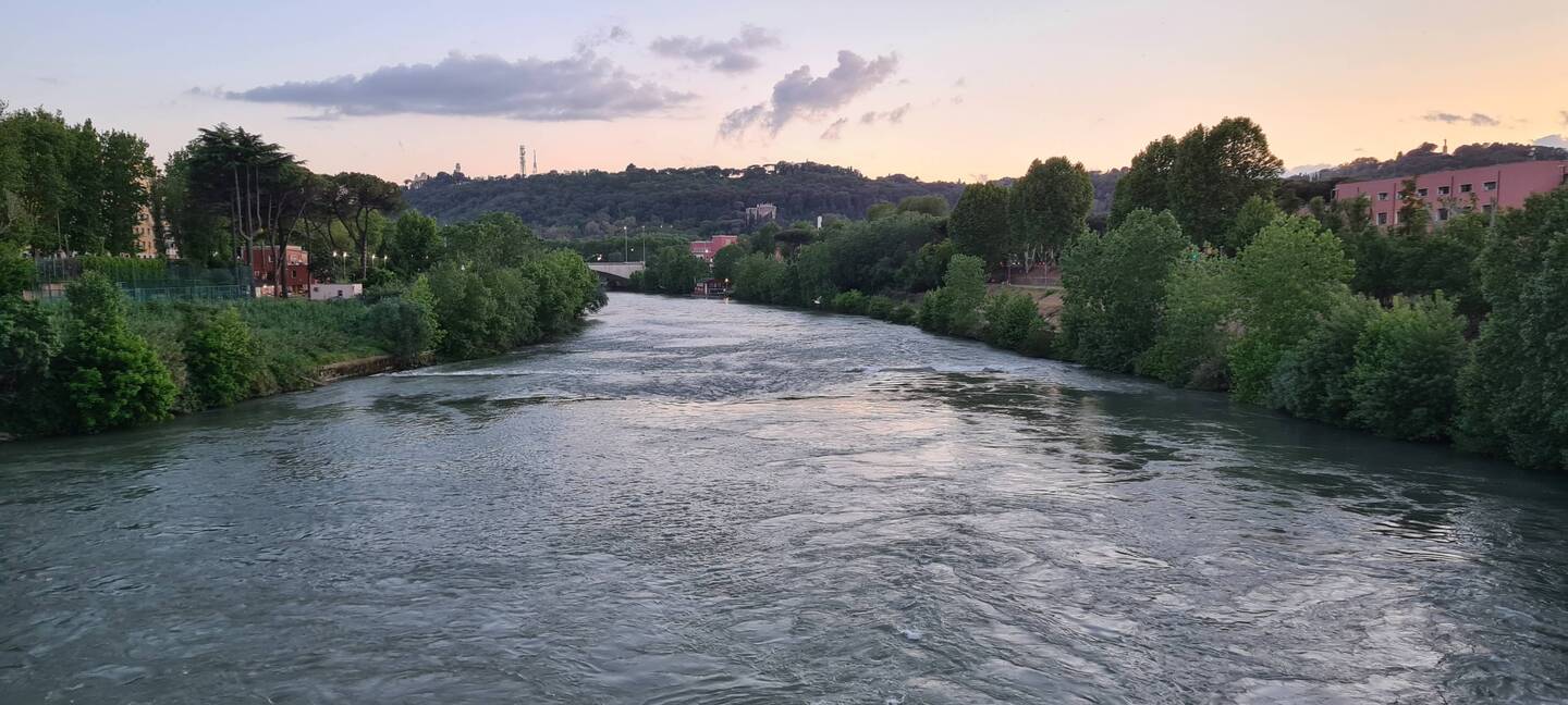 Der Tiber.