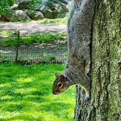 Die eigentlichen Bewohner des Parks.