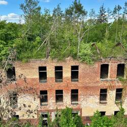 zerstört im 2. WK. Die Natur holt sich das Gelände zurück