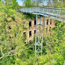 Der Baumkronenpfad geht direkt durch/über die Ruine