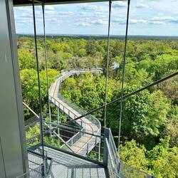 Der Baumkronenpfad ist etwa 1 Kilometer lang