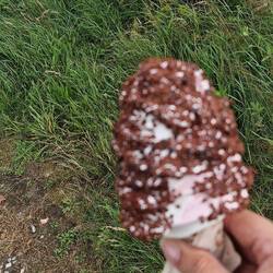 Mein Abschiedseis 😢🍦