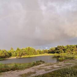 Diego läßt grüßen aus den Regenbogenland🌈🙏