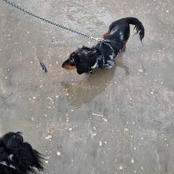 Benny und Pauli haben spaß