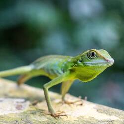 Little boy het posiert 😂