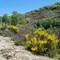 The path is very pretty all the way with wild lavender and flowers