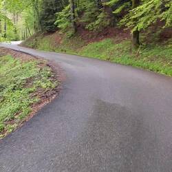 The thrilling green tunnel down past Col Luitel