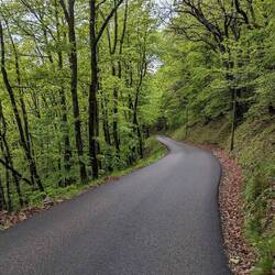 The thrilling green tunnel down past Col Luitel