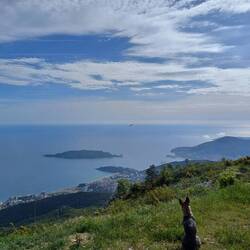 Ausblick auf Budva vom Startplstz