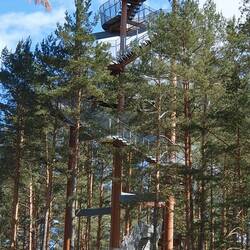 Was es da oben wohl zu sehen gibt?