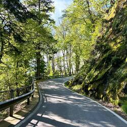 Selbst der Wald ist grün und prächtig.