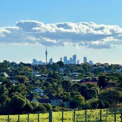 Aucklands Skyline