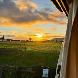 Ich werde es vermissen mit solchen Blicken aufzuwachen