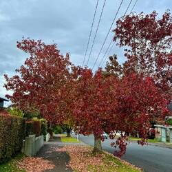 Herbst ist soo schön
