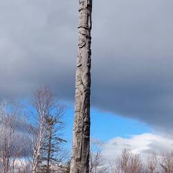 Newfoundland & Labrador Heritage Tree
