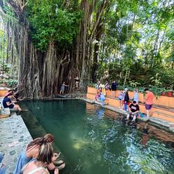 Fussbad mit den Fischis