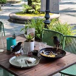 Die haben aber brav zusammen gegessen 😂