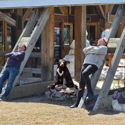 na wer hat sich den hier ins Bild geschmuggelt