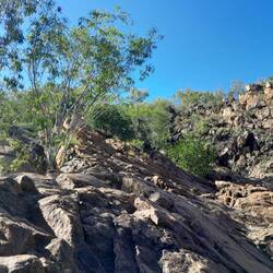 More climbing