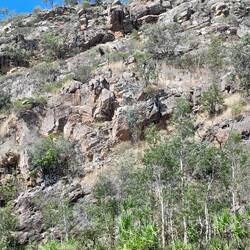 The climb
