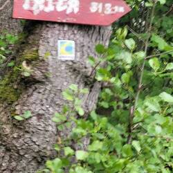 nö, wir kehren nicht um 😉