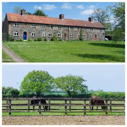 Stetchworth; Flint cottages / View en route to Dullingham