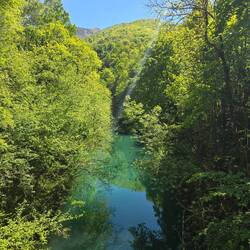 View of the lake
