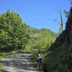 Niska checking out the goats