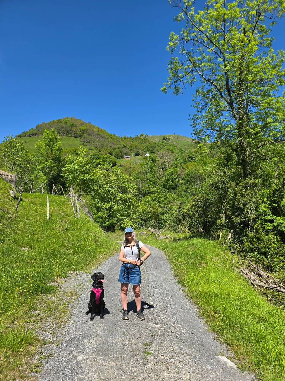 Fantastic weather for walking in the mountains