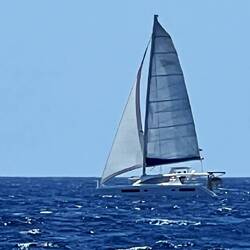 Überholende Leopard