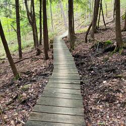 Kinzua point trails