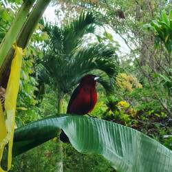 In El Valle de Antón