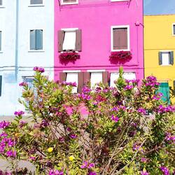 Splash of colour everywhere