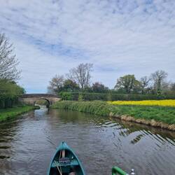Oil seed rape in full bloom on our cruise