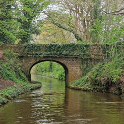 We do love a pretty bridge, of which there are many