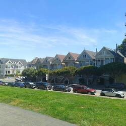 Painted Ladies