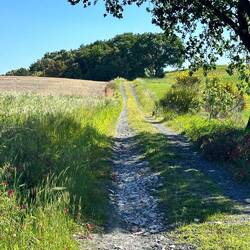 Nur noch diesen Weg runter...