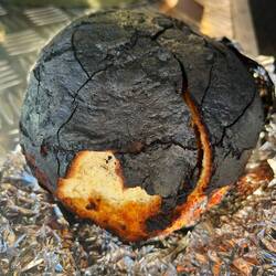 Das Brot "hinterher" 😅