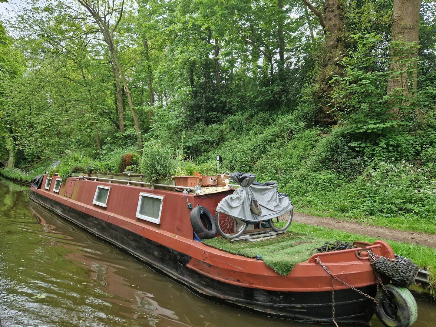 Incredible volume of plants growing on this Narrowboat roof