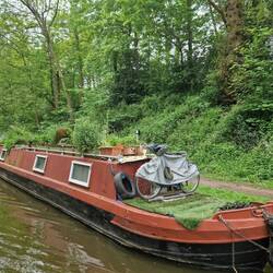 Incredible volume of plants growing on this Narrowboat roof