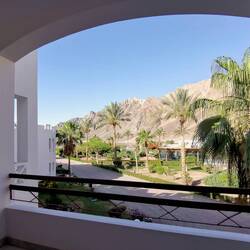 Morning view from my balcony!