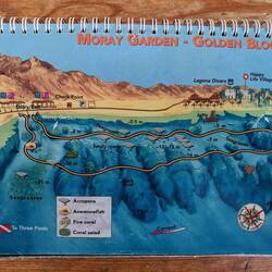 Dive Side of the day!