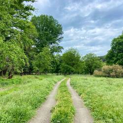 Der weitere Weg führte durch einsame Flusstäler und wieder durch das Parnon-Gebirge.