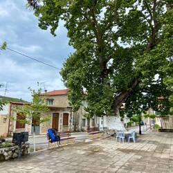 Gegenüber der Kirche habe ich mein Mittagessen gegessen.