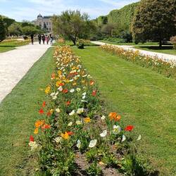 Jardin de Plantes