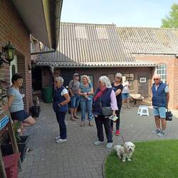 Vielen Dank und auf Wiedersehen