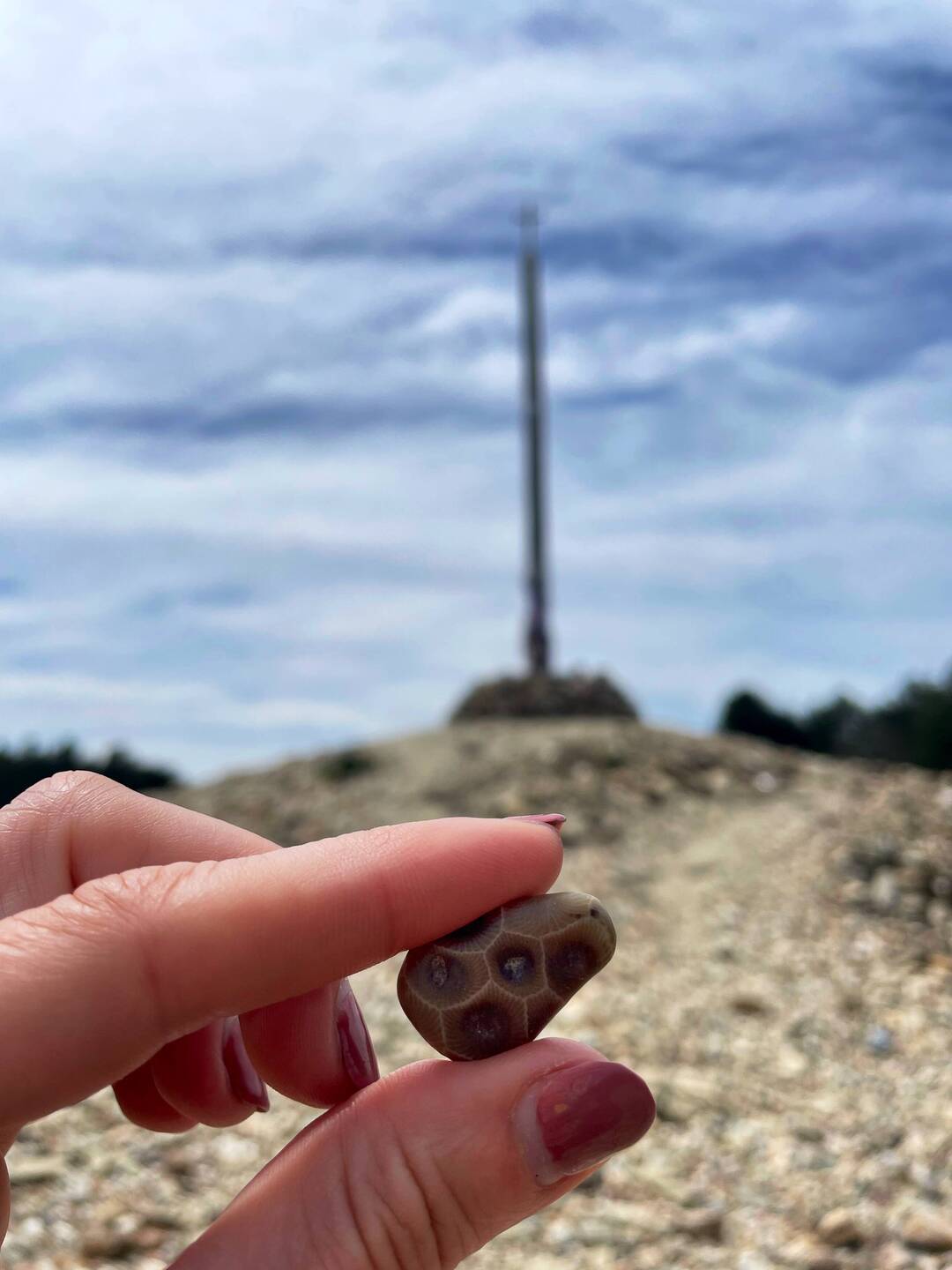 Aimee's Petoskey stone from her mom