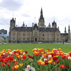 House of Commons