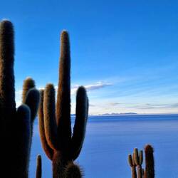 Aussicht von der Isla Incahuasi.